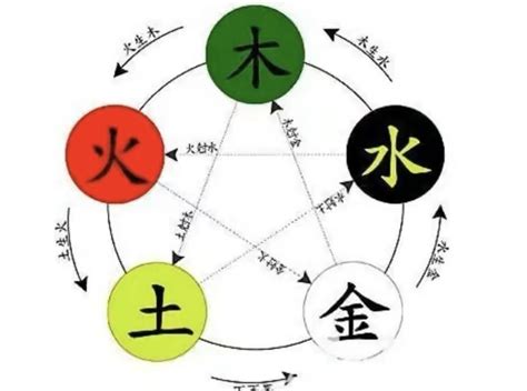 倫字五行|伦字的五行属性